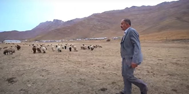 Susuz yaz: Türkiye'nin doğusunda çiftçilik ve hayvancılık bitiyor mu?