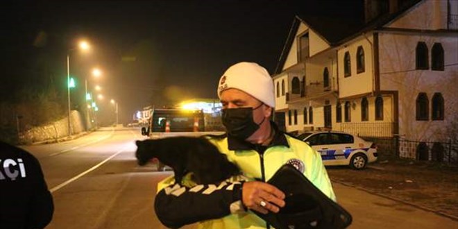 Trafik polisi araç altında kalmaktan kurtardığı kediyle uygulamaya devam etti