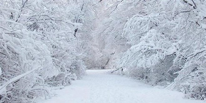Meteorolojiden dört ile kuvvetli kar yağışı uyarısı