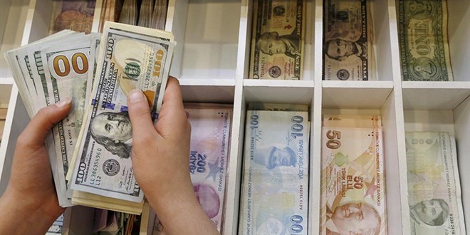 Kamu bankaları piyasaya döviz satışı yapmadı