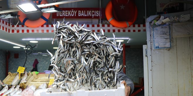 Balık fiyatları düştü! Balıkçılar şaşkın: Bu işten bir şey anlayamadım