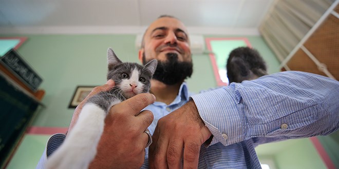 Hayvansever imam caminin kapılarını kedilere açtı