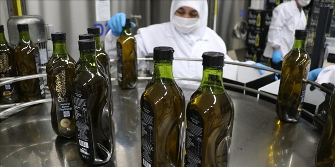 Zeytin ve zeytinyağına en fazla talep ABD'den geldi