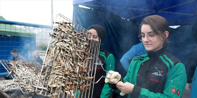 Rize'de üç günde ayıklanan 2,5 ton hamsi festivalde 2 saatte tüketildi