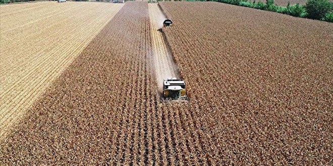Dövizdeki düşüş maliyetlere yansımadı! Üreticiler indirim bekliyor