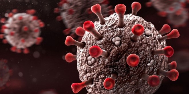 Covid'in yeni varyantı çıktı: Tam 46 mutasyonu var