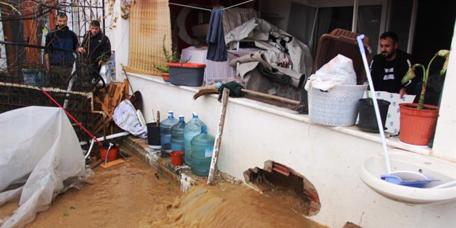 Bodrum'da sel faciası, evleri su bastı, sokak hayvanları boğuldu