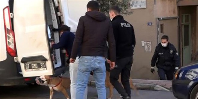 Antalya'da iki Pitbull'un saldırdığı kadın yaralandı
