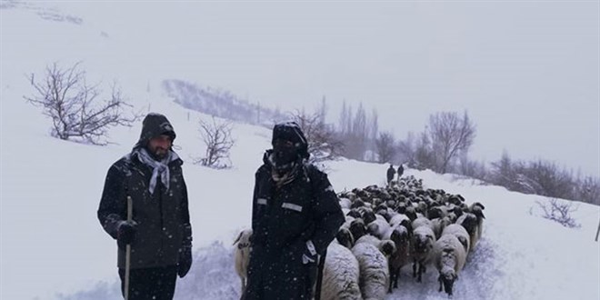 Yaylada mahsur kalan çoban ve sürüsü için 3 saatlik mücadele