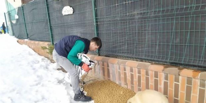 Gaziantep'te sokak hayvanları için 5 ton mama ve yem bırakıldı