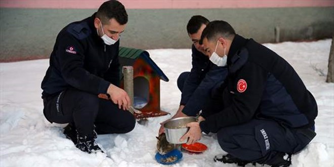 Ceza infaz kurumu personeli ve hükümlülerden 'can dostlar'a şefkat eli