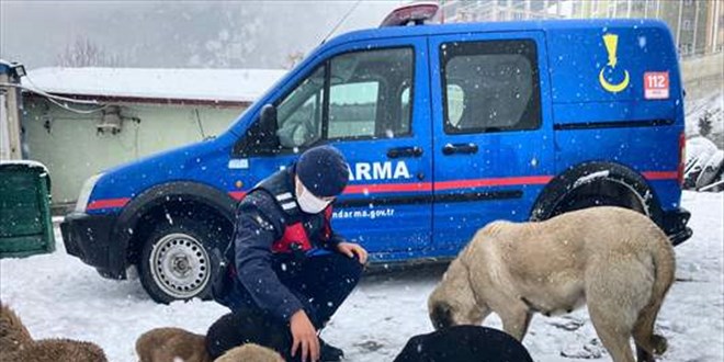 Kastamonu'da jandarmadan hayvanlar iin yem ve mama datm