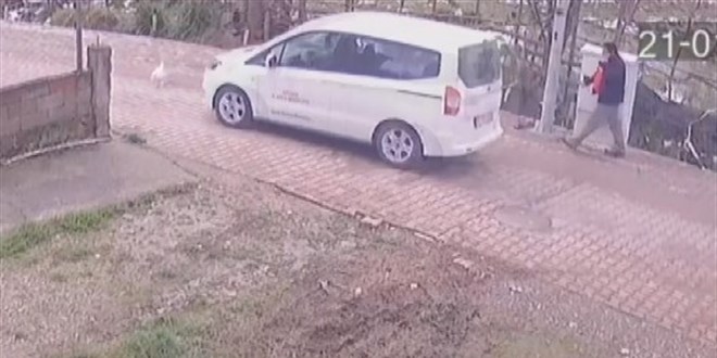 Yolda yürüyen kediyi aracıyla ezdi, arkasına bile bakmadı