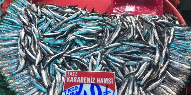 Olumsuz hava koşulları ve artan maliyetler balık fiyatlarına yansıdı