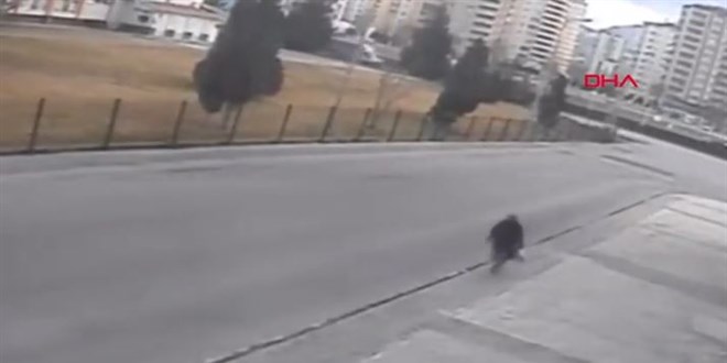 Yaşlı kadın kapkaççının peşinden gitti ama yakalayamadı