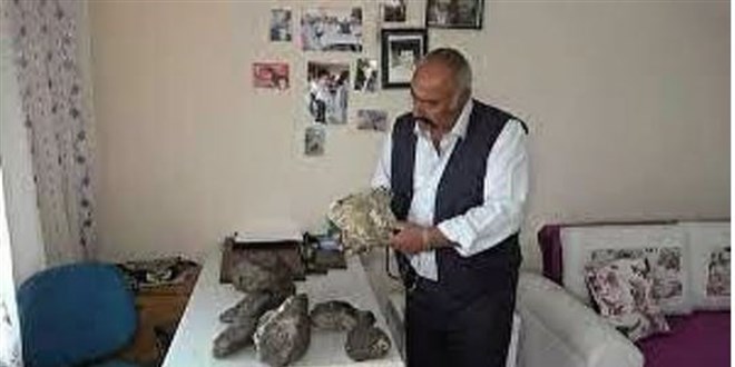 Mantar toplamaya gitti, 100 kilo göktaşı buldu