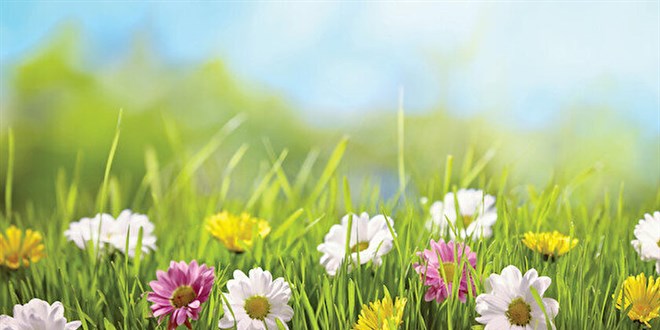 Cemre önce nereye düşecek? Havaya mı toprağa mı?