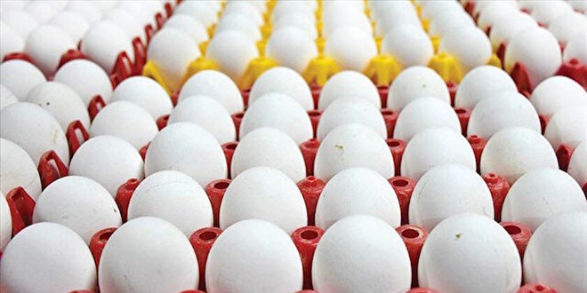 YUM-BR Bakan Afyon'dan yumurta fiyat art aklamas