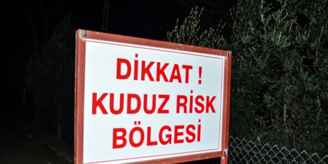Vatandaşlara saldıran köpek kuduz çıktı, mahalle karantinaya alındı