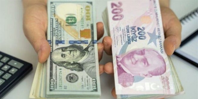 Dolar karşısında en çok değer kaybeden para birimi TL oldu