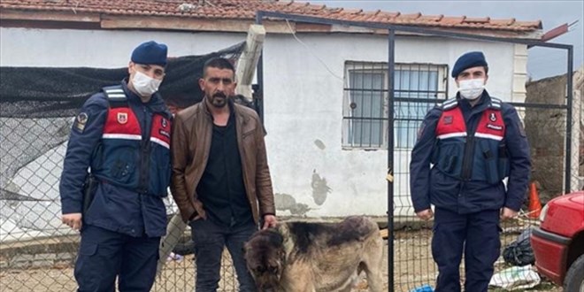 Çaldığı köpeği tanınmaması için boyadı