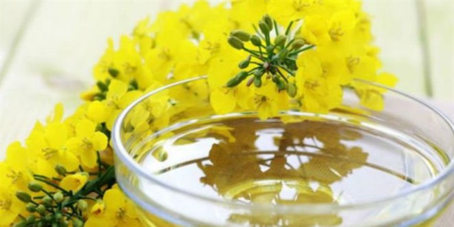 Kanola, aspir, mısır, soya ve palm yağlarında gümrük vergisi sıfırlandı