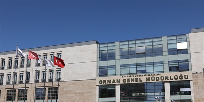 Orman mühendisi alımında uygulama sınavının ağırlığı arttı