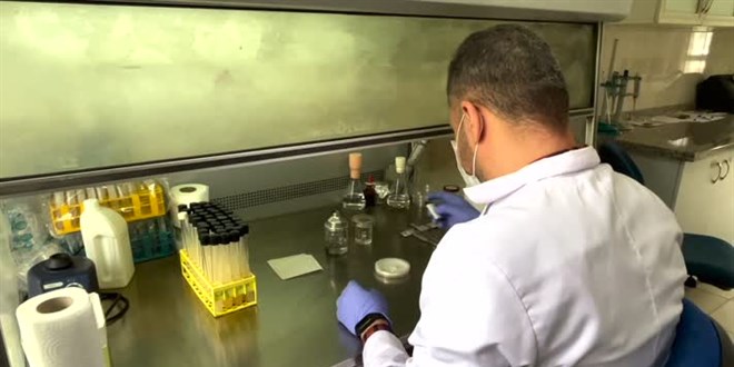 Ekonomik değeri olan iki mantar çeşidi 'Yaprak77' ve 'Soylu77' tescillendi