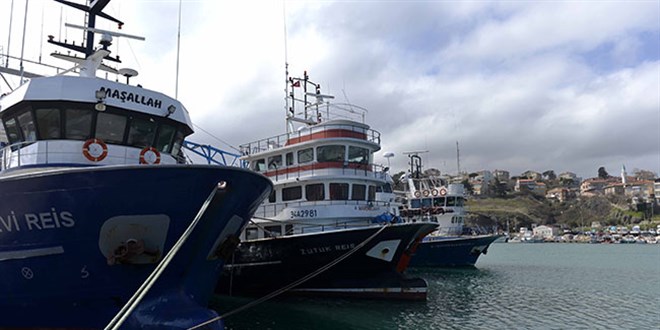 Karadeniz kıyısında balık avı yasaklandı