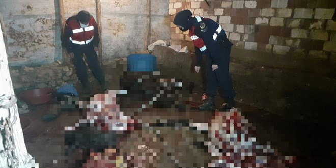 Eşek kesip piyasaya sürmeye çalışanlara jandarmadan suçüstü