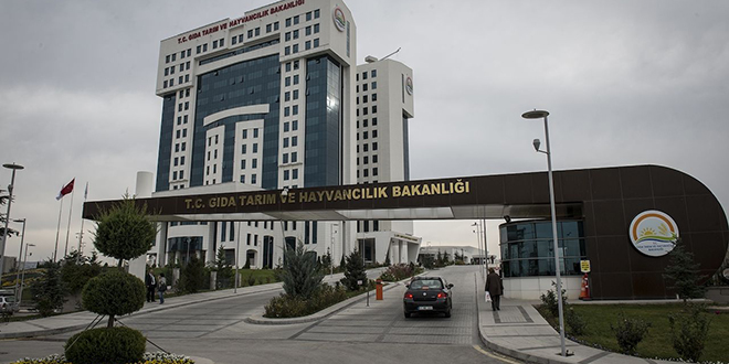 Tarım Bakanlığı alarmda! Aşılar karıştı, BVD hastalığı patlak verdi