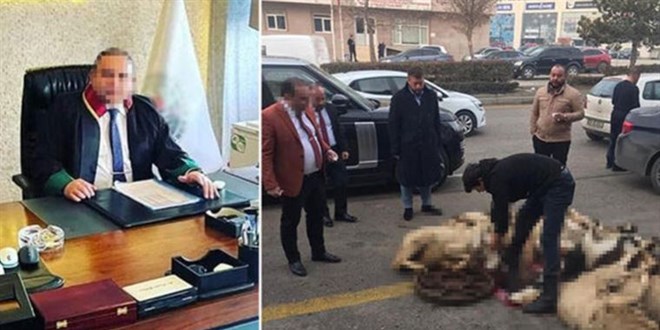 Serbest kalmasını kurban keserek kutlayan avukata 20 yıla kadar hapis istemiyle dava