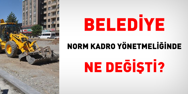 Belediye norm kadro ynetmeliinde ne deiti?