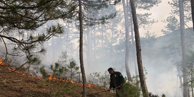 Akli dengesi bozuk şahıs ormanı yaktı, 1,9 hektar alan zarar gördü