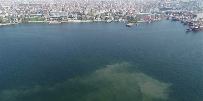 Korkutan görüntü! Müsilaj İstanbul'a geri mi dönüyor?