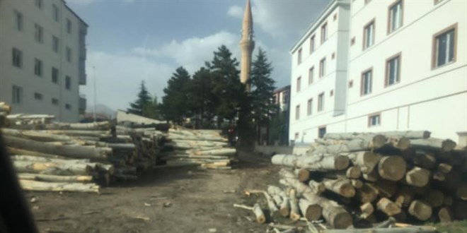 Çocuk Bayramı'nda üzerine ağaç düşen çocuk hayatını kaybetti