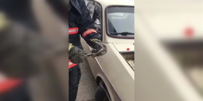 Mersin'de otomobilin motor bölümüne giren yılanı itfaiye çıkardı