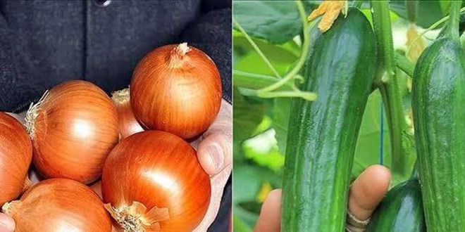 Nisanda fiyatı en fazla artan ürün kuru soğan, en çok düşen salatalık oldu