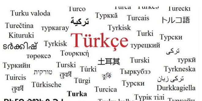 TDK Bakan: Dil olarak branice de Yunanca da ince de bizim akrabamz