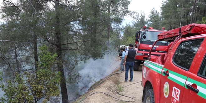 Pamukkale'de 1 günde 2 orman yangını