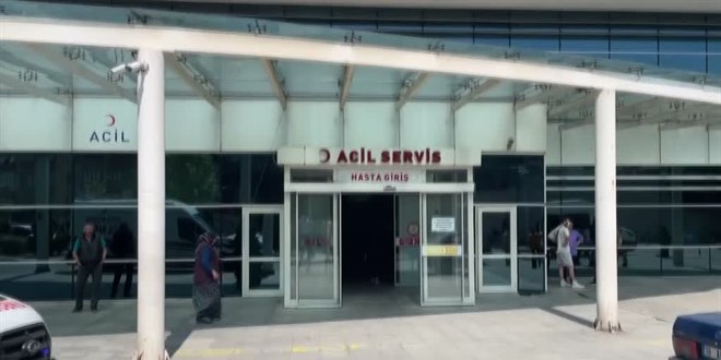 Karabük'te vücuduna kene yapışan yaşlı kadın tedaviye alındı
