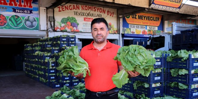 Sebze ve meyve fiyatları yarı yarıya düşecek