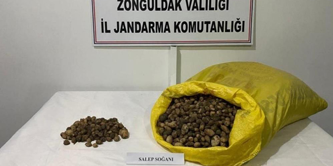 40 kilo salep soğanı için 218 bin TL ceza yediler