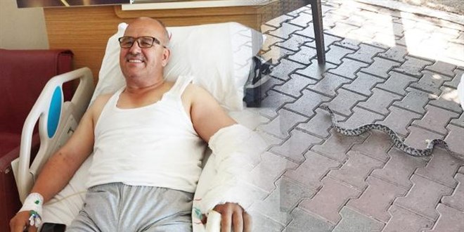 Elini sokan yılanla hastaneye koştu
