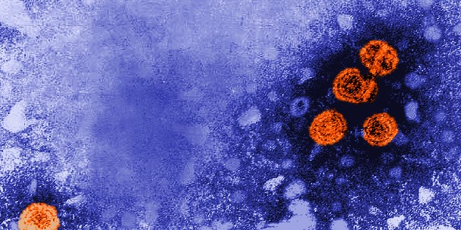 DSÖ: Gizemli hepatit vakaları 650'ye, can kayıpları 9'a yükseldi