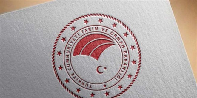 Bakanlıktan açıklama: Hastalıklı buğdayın yurda girişine izin verilmedi!