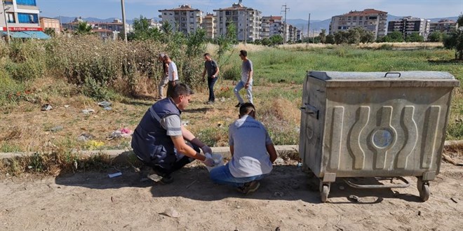 İzmir'de zehirlenen kedi ve köpekler telef oldu