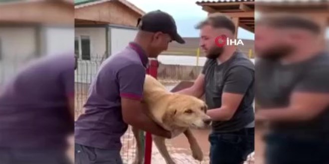 Başkent'te yaşanan sel felaketinden hayvanlar da etkilendi