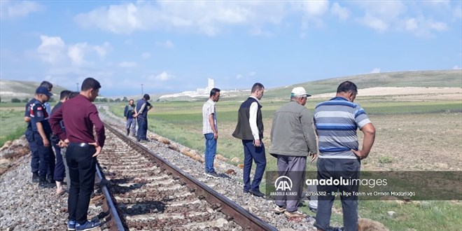 Konya'da trenin arpt 140 kkba hayvan telef oldu