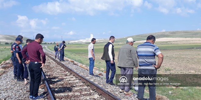 Konya'da trenin çarptığı 140 küçükbaş hayvan telef oldu